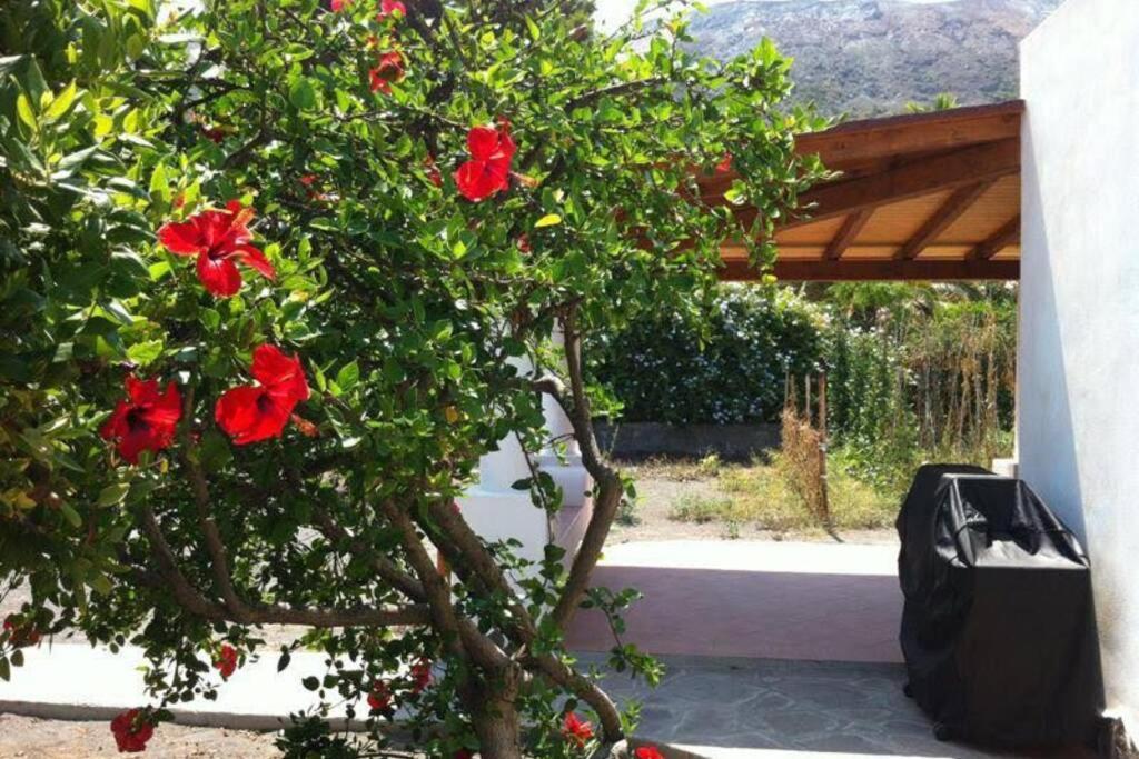 Holiday home By The Vulcano - 70mq Large Garden And Patio *